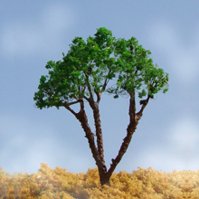 model trees